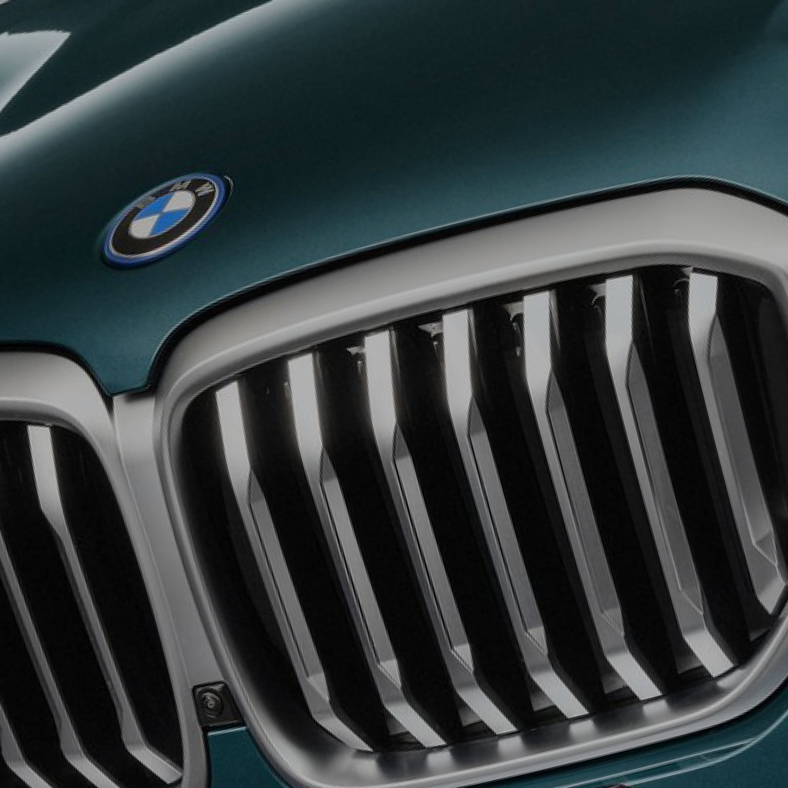BMW logo